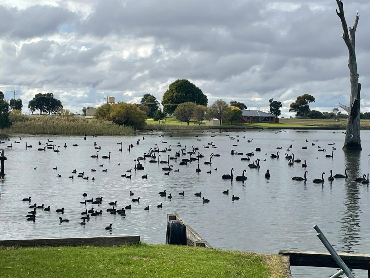 Tasman Holiday Parks - Lake Mulwala Eksteriør bilde